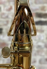 Yanagisawa Yanagisawa AWO2 Bronze Professional Alto Saxophone from Japan!