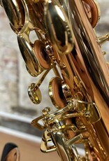 Yanagisawa Yanagisawa AWO2 Bronze Professional Alto Saxophone from Japan!