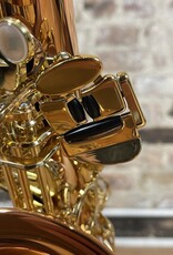 Yanagisawa Yanagisawa AWO2 Bronze Professional Alto Saxophone from Japan!