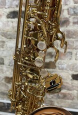 Yanagisawa Yanagisawa AWO2 Bronze Professional Alto Saxophone from Japan!