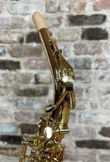 Yanagisawa Yanagisawa AWO2 Bronze Professional Alto Saxophone from Japan!