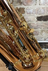 Yanagisawa Yanagisawa AWO2 Bronze Professional Alto Saxophone from Japan!