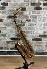 Yanagisawa Yanagisawa AWO2 Bronze Professional Alto Saxophone from Japan!