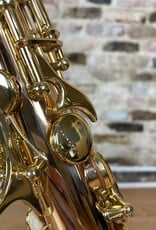 Yanagisawa Yanagisawa AWO20 Bronze Elite Professional Alto Saxophone from Japan!