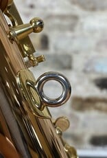 Yanagisawa Yanagisawa AWO20 Bronze Elite Professional Alto Saxophone from Japan!