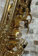 Yanagisawa Yanagisawa AWO20 Bronze Elite Professional Alto Saxophone from Japan!