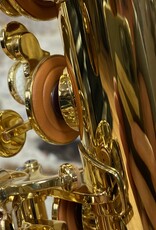 Yanagisawa Yanagisawa TWO1 Professional Tenor Saxophone - Lacquered Finish