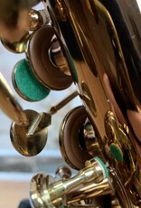 Ishimori ALL NEW! Ishimori Woodstone Super Custom X Alto Saxophone VL with high F#