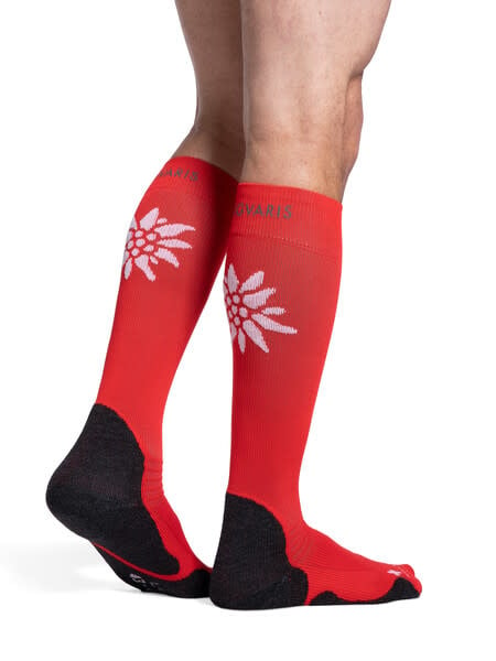 462 Motion Swiss Mountain Sock Red (59)