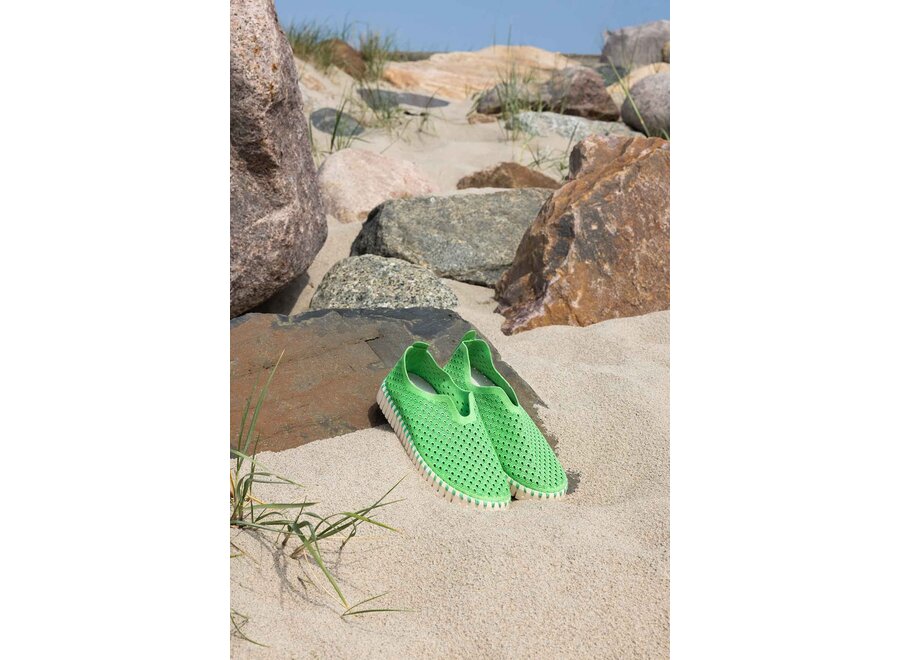 TULIP3275 MICROFIBRE SHOE FASHION COLOURS - Click for more colours