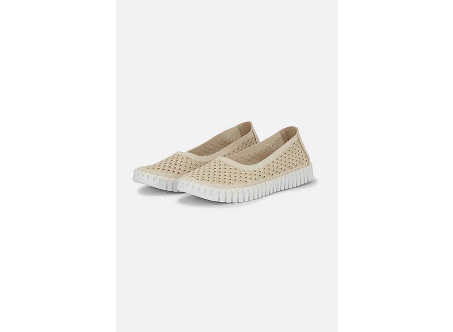 TULIP3579 BALLERINA SHOE