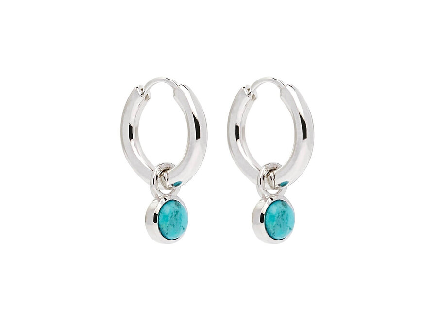 HEAVENLY TURQUOISE SILVER EARRING