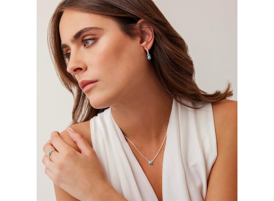 HEAVENLY TURQUOISE SILVER EARRING (E6543)