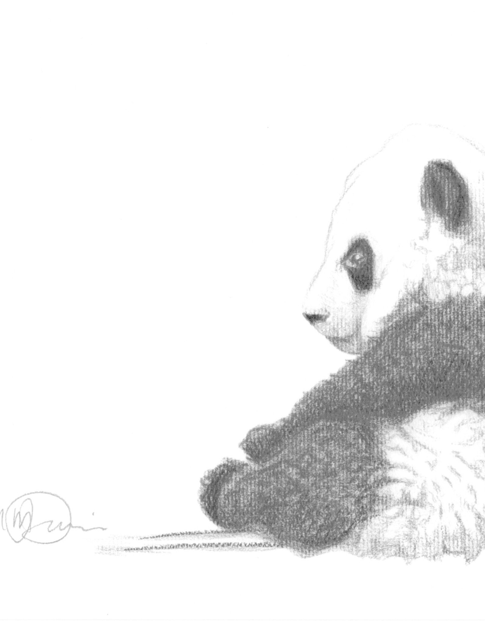 Illustration 8x10 Bebe Panda Assis La Bouticaire