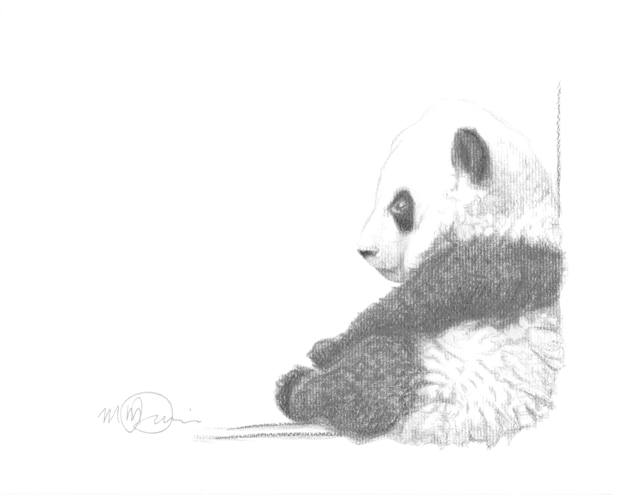 Illustration 8x10 Bebe Panda Assis La Bouticaire