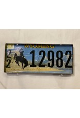 License Plate Serving Tray