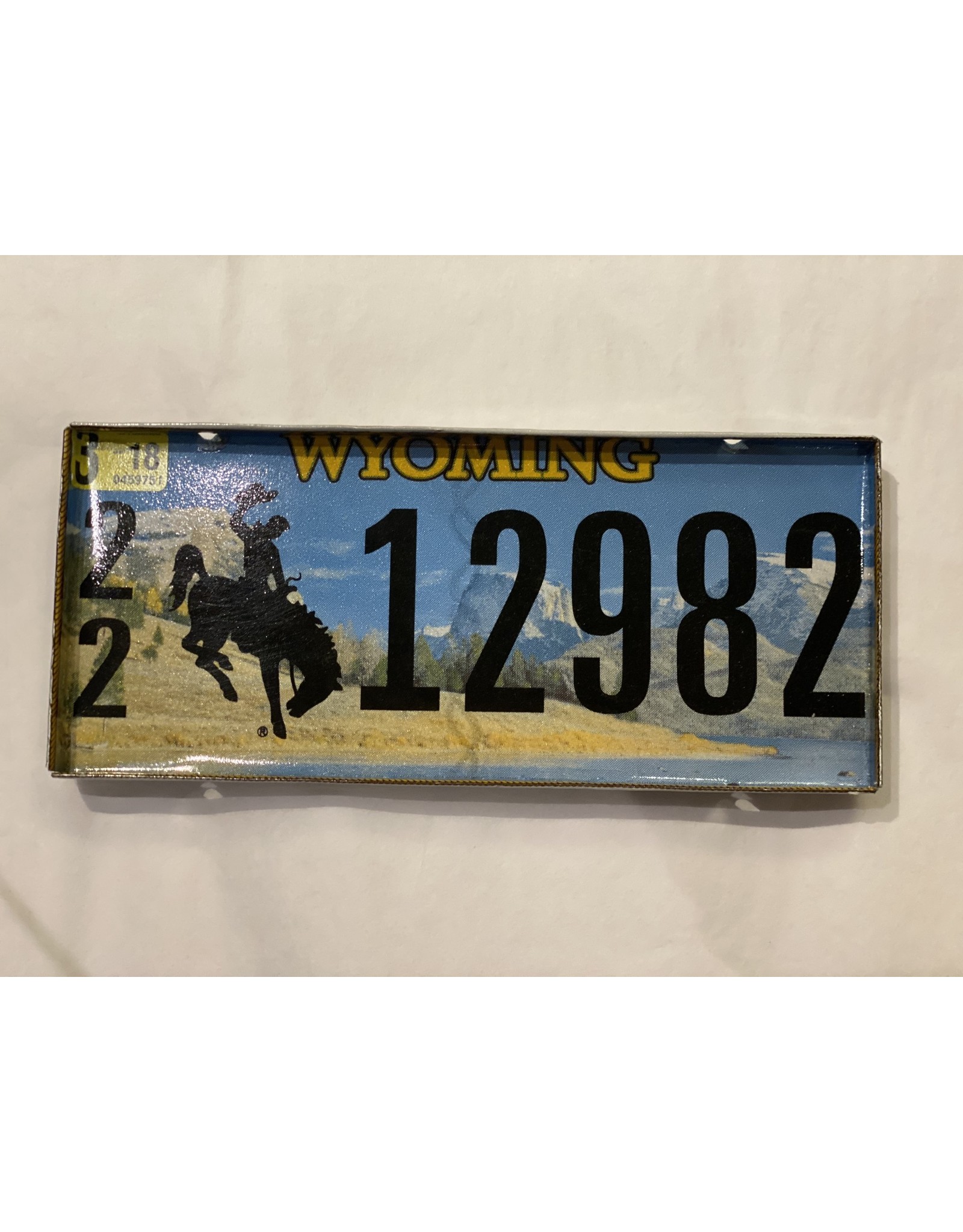 License Plate Serving Tray