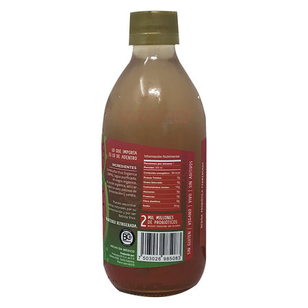 Kombucha Sandía Fresca Salvaje BV 355 ml.