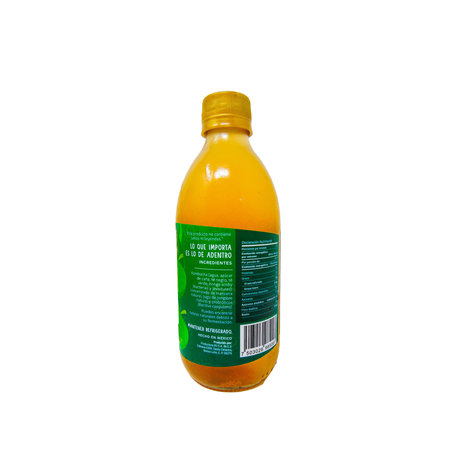 Kombucha Manzana-Jengibre BV 355 ml.