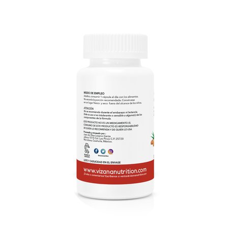 Zinc con curcuma / jengibre Vizana 90/500 mg