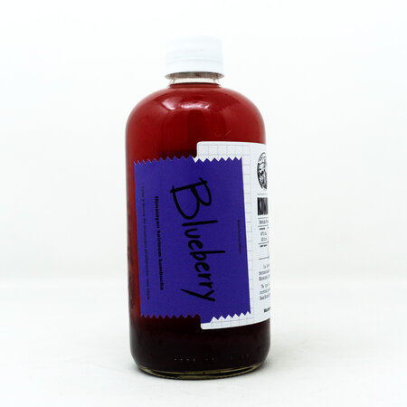 Kombucha de Blueberry Kombuchismo 470ml