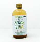 Kombucha Energy Productora BV 500ml