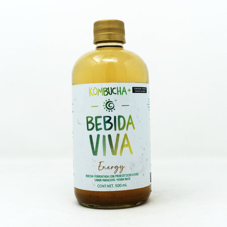Kombucha Energy Productora BV 500ml