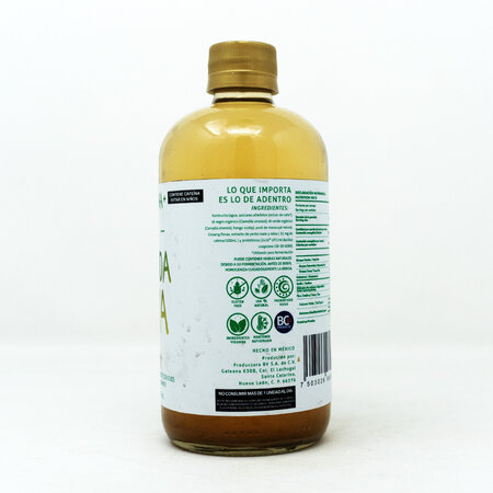 Kombucha Energy Productora BV 500ml