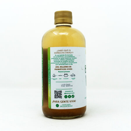 Kombucha Energy Productora BV 500ml