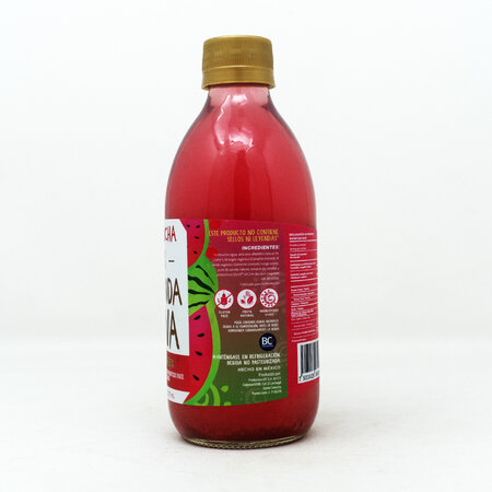 Kombucha Sandía Fresca Salvaje BV 355 ml.