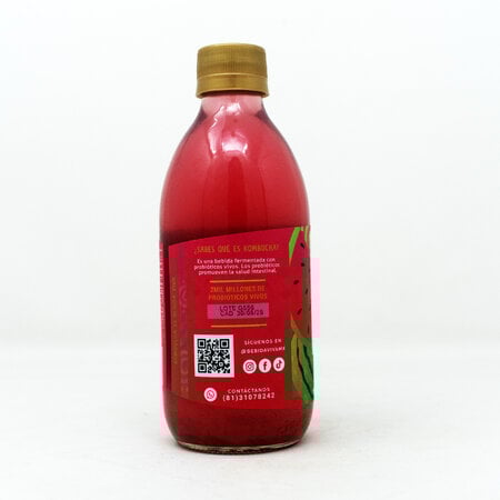 Kombucha Sandía Fresca Salvaje BV 355 ml.