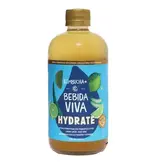 Kombucha Hydrate Productora BV 500ml