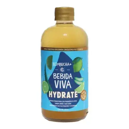 Kombucha Hydrate Productora BV 500ml