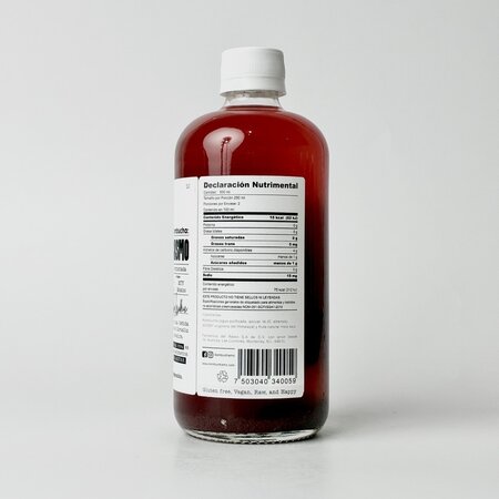 Kombucha de Blueberry Kombuchismo 470ml