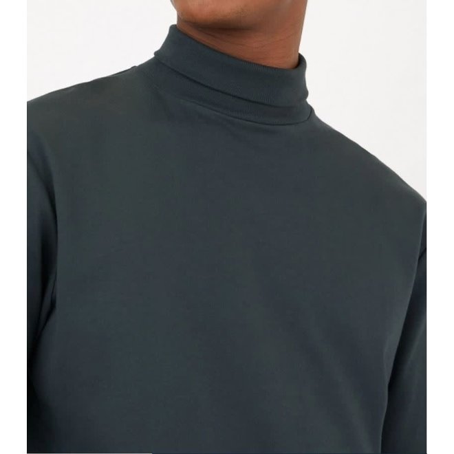 Brushed Cotton Turtle Neck in Forest