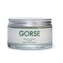 Gorse Cream