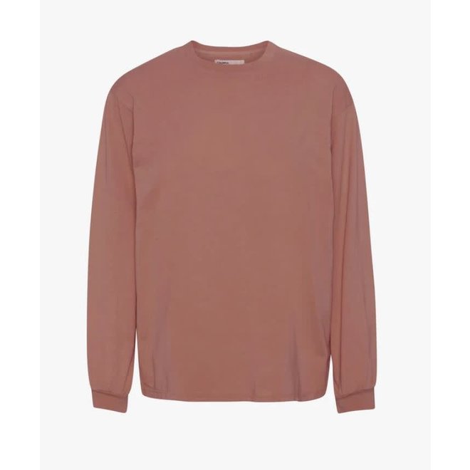 Oversized Long Sleeve T-Shirt in Rosewood Mist