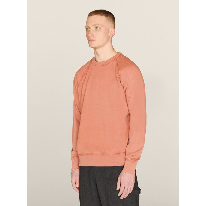 Shrank Sweatshirt in Orange