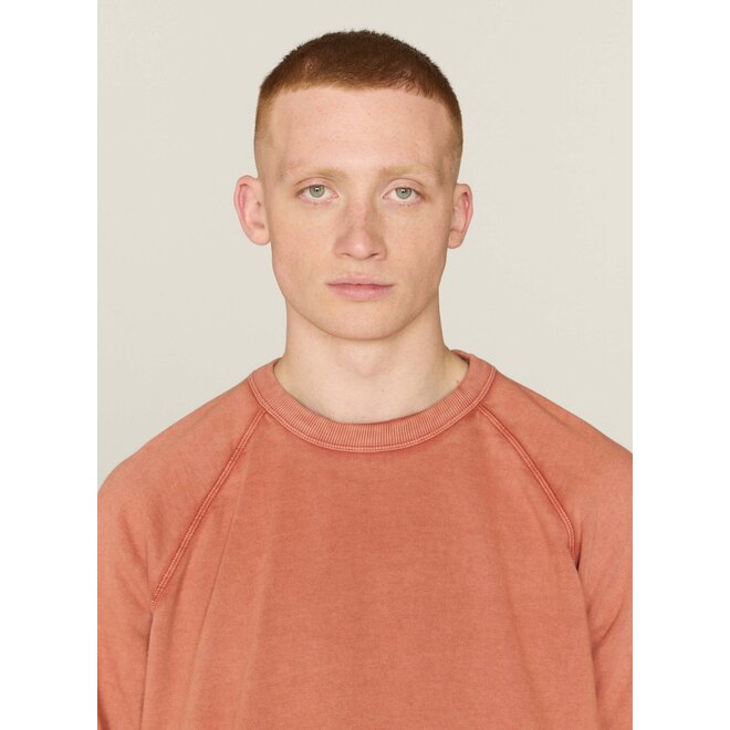 Shrank Sweatshirt in Orange