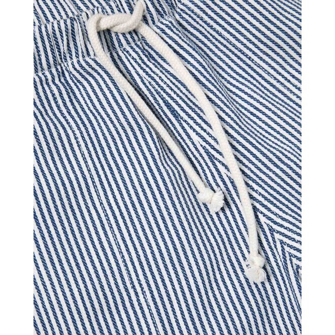 Formigal Beach Shorts in Blue Stripes
