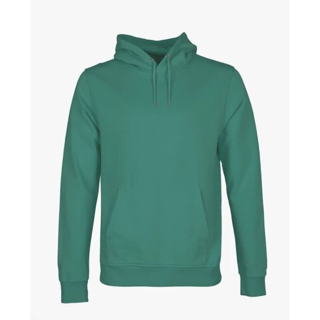 Classic Organic Hoodie in Pine Green