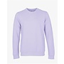 Classic Organic Crew in Soft Lavender