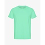 Classic Organic T-Shirt in Spring Green