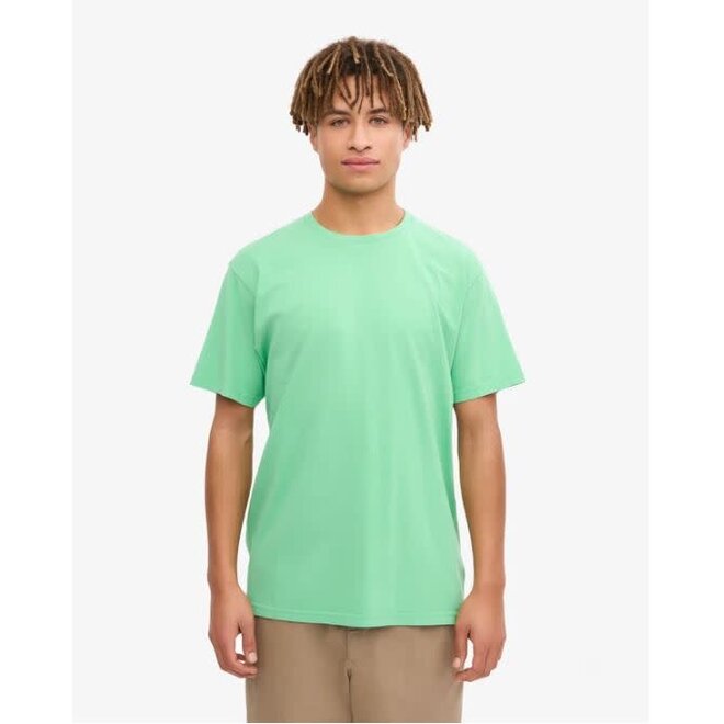 Classic Organic T-Shirt in Spring Green