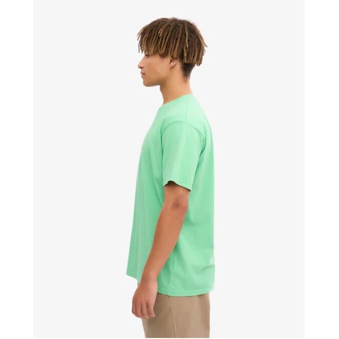 Classic Organic T-Shirt in Spring Green