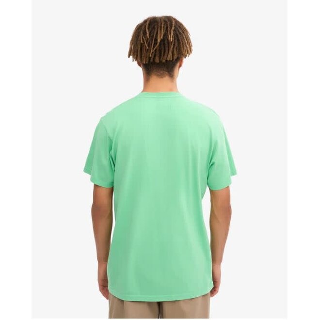 Classic Organic T-Shirt in Spring Green