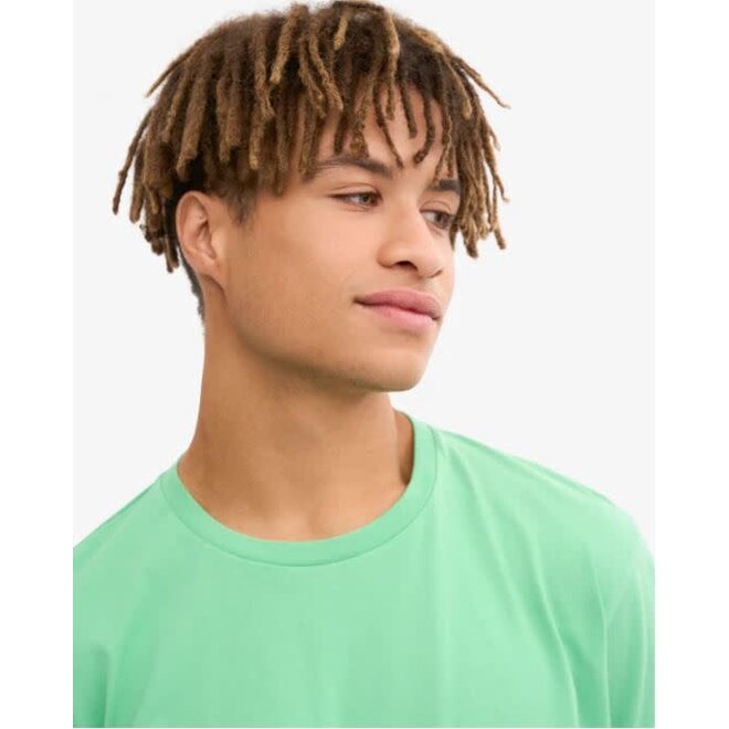 Classic Organic T-Shirt in Spring Green