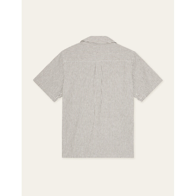 Lukas Stripe Shirt in Teak Brown