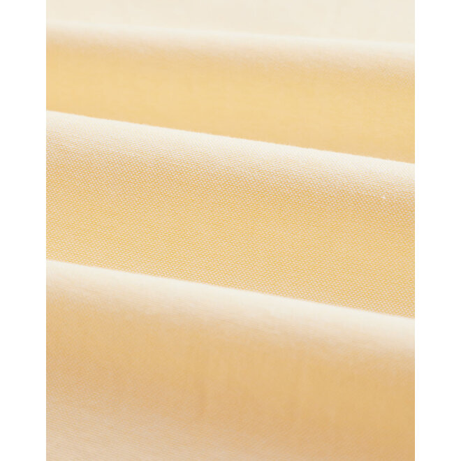 Belavista Oxford Shirt in Yellow