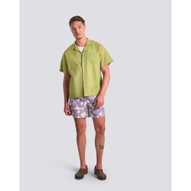 Taro Breeze Swim Trunk in Purple